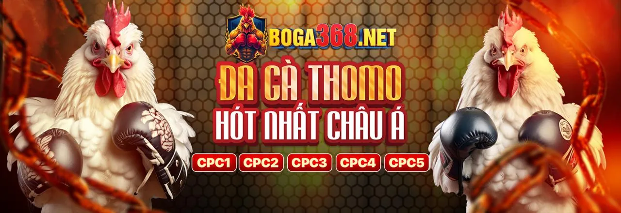 Đấu trường đá gà trực tuyến 88new app